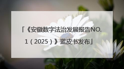 《安徽数字法治发展报告NO.1（2025）》蓝皮书发布