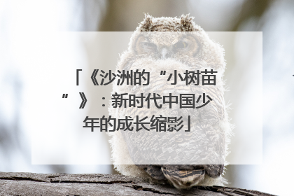 《沙洲的“小树苗”》：新时代中国少年的成长缩影