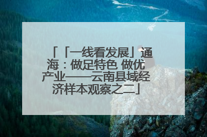「一线看发展」通海：做足特色 做优产业——云南县域经济样本观察之二