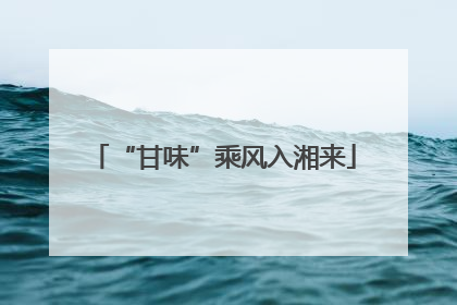 “甘味”乘风入湘来