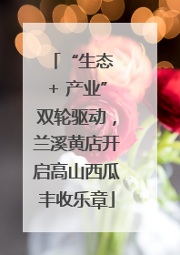 “生态 + 产业”双轮驱动，兰溪黄店开启高山西瓜丰收乐章