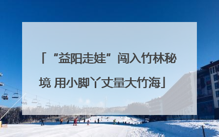 “益阳走娃”闯入竹林秘境 用小脚丫丈量大竹海