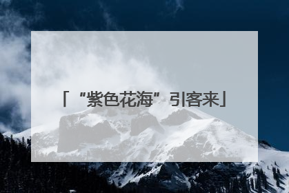 “紫色花海”引客来