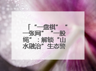 “一盘棋”“一张网”“一股绳”：解锁“山水融治”生态警务“密码”
