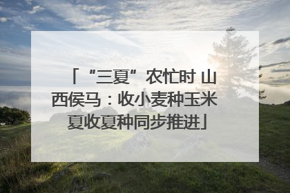 “三夏”农忙时 山西侯马：收小麦种玉米 夏收夏种同步推进
