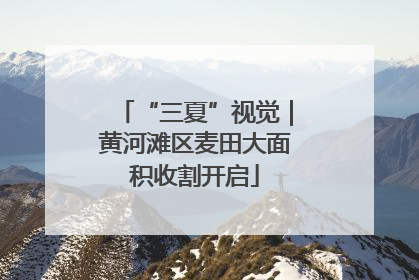 “三夏”视觉｜黄河滩区麦田大面积收割开启