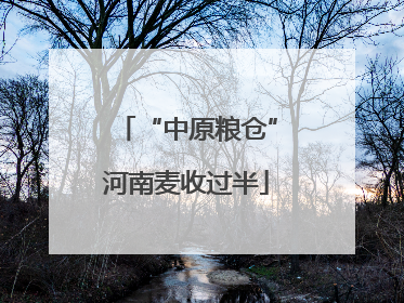 “中原粮仓”河南麦收过半