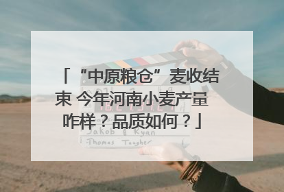 “中原粮仓”麦收结束 今年河南小麦产量咋样？品质如何？