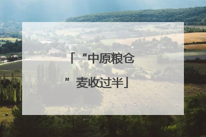 “中原粮仓”麦收过半