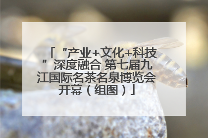 “产业+文化+科技”深度融合 第七届九江国际名茶名泉博览会开幕（组图）