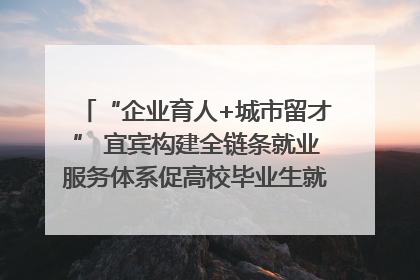 “企业育人+城市留才” 宜宾构建全链条就业服务体系促高校毕业生就业｜您牵挂的四川