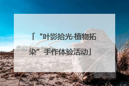 “叶影拾光·植物拓染”手作体验活动