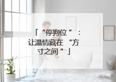“停狗位 ”：让温情藏在 “方寸之间 ”
