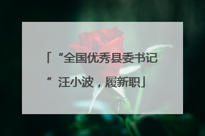“全国优秀县委书记”汪小波，履新职