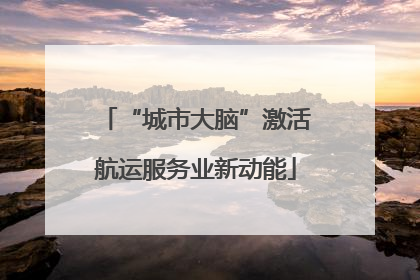 “城市大脑”激活航运服务业新动能