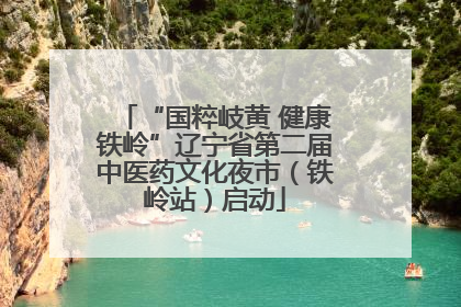 “国粹岐黄 健康铁岭”辽宁省第二届中医药文化夜市（铁岭站）启动