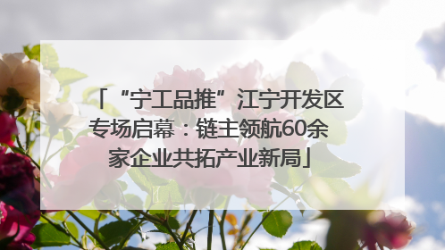 “宁工品推”江宁开发区专场启幕：链主领航60余家企业共拓产业新局