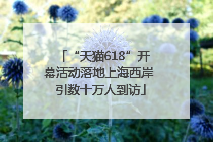 “天猫618”开幕活动落地上海西岸 引数十万人到访
