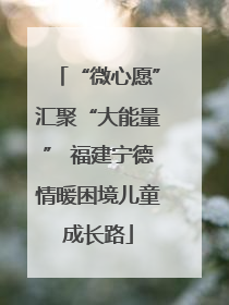 “微心愿”汇聚“大能量” 福建宁德情暖困境儿童成长路