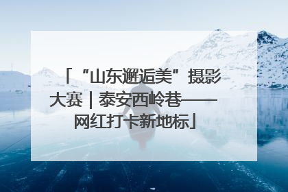 “山东邂逅美”摄影大赛｜泰安西岭巷——网红打卡新地标