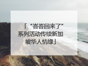 “峇峇回来了”系列活动传续新加坡华人情缘