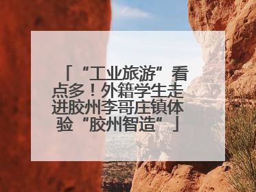 “工业旅游”看点多！外籍学生走进胶州李哥庄镇体验“胶州智造”