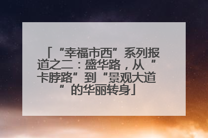 “幸福市西”系列报道之二：盛华路，从“卡脖路”到“景观大道”的华丽转身