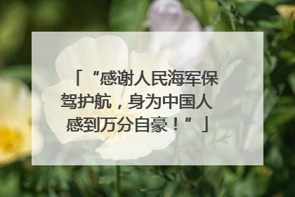 “感谢人民海军保驾护航,身为中国人感到万分自豪!”