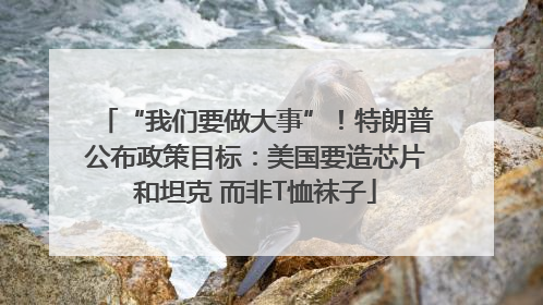 “我们要做大事”！特朗普公布政策目标：美国要造芯片和坦克 而非T恤袜子