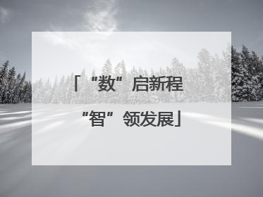 “数”启新程 “智”领发展