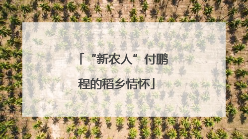 “新农人”付鹏程的稻乡情怀