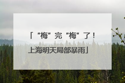 “梅”完“梅”了！上海明天局部暴雨