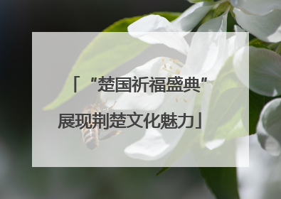 “楚国祈福盛典”展现荆楚文化魅力