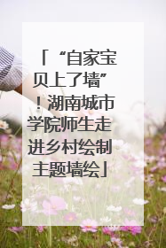 “自家宝贝上了墙”！湖南城市学院师生走进乡村绘制主题墙绘