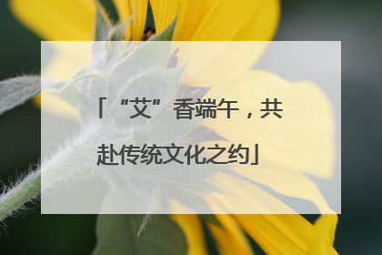 “艾”香端午，共赴传统文化之约