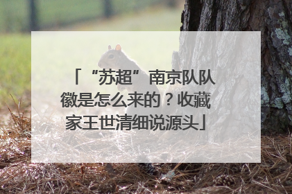 “苏超”南京队队徽是怎么来的？收藏家王世清细说源头