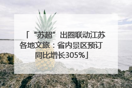 “苏超”出圈联动江苏各地文旅：省内景区预订同比增长305%