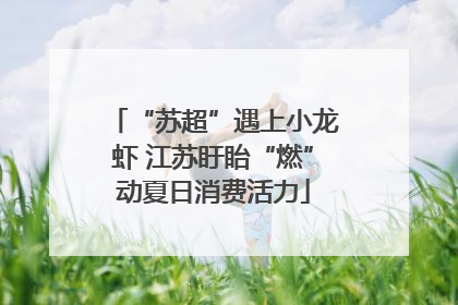 “苏超”遇上小龙虾 江苏盱眙“燃”动夏日消费活力