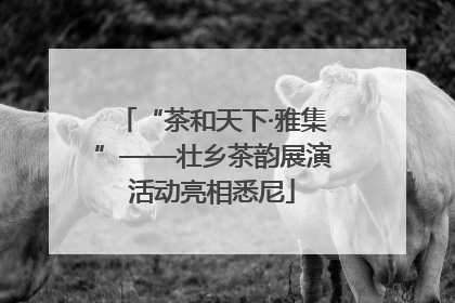 “茶和天下·雅集”——壮乡茶韵展演活动亮相悉尼