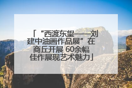 “西渡东望——刘建中油画作品展”在商丘开展 60余幅佳作展现艺术魅力
