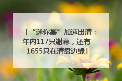 “迷你基”加速出清：年内117只谢幕，还有1655只在清盘边缘