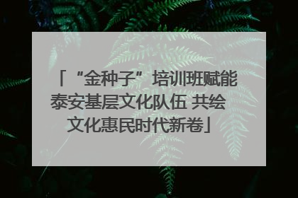 “金种子”培训班赋能泰安基层文化队伍 共绘文化惠民时代新卷