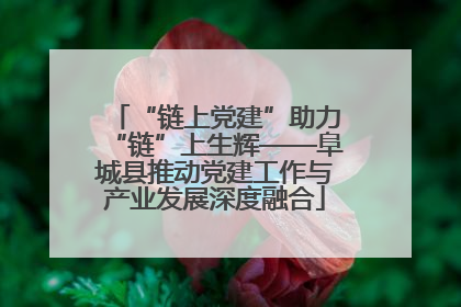 “链上党建”助力“链”上生辉——阜城县推动党建工作与产业发展深度融合