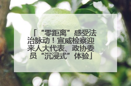 “零距离”感受法治脉动！宣威检察迎来人大代表、政协委员“沉浸式”体验