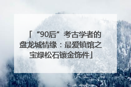 “90后”考古学者的盘龙城情缘：最爱镇馆之宝绿松石镶金饰件