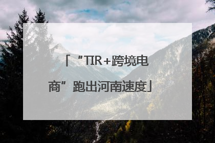 “TIR+跨境电商”跑出河南速度