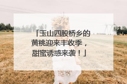 玉山四股桥乡的黄桃迎来丰收季，甜蜜诱惑来袭！