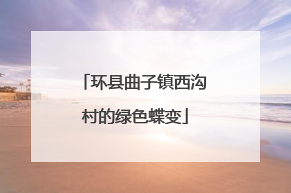 环县曲子镇西沟村的绿色蝶变