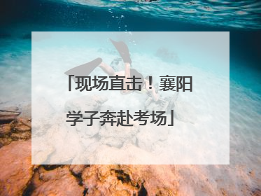 现场直击！襄阳学子奔赴考场