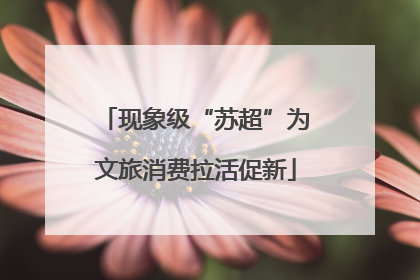 现象级“苏超”为文旅消费拉活促新